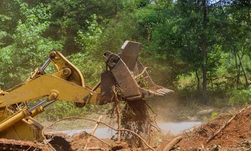 land clearing and tree removal in league city tx