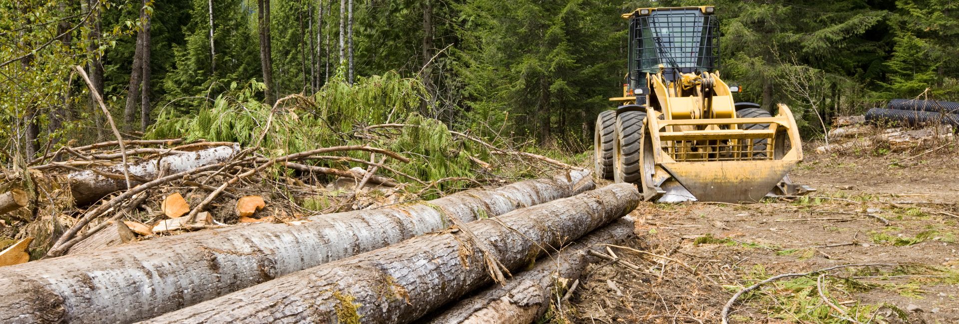 land clearing job in league city tx