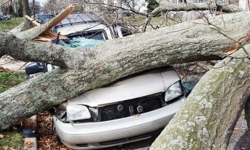 storm damage clean up in league city tx