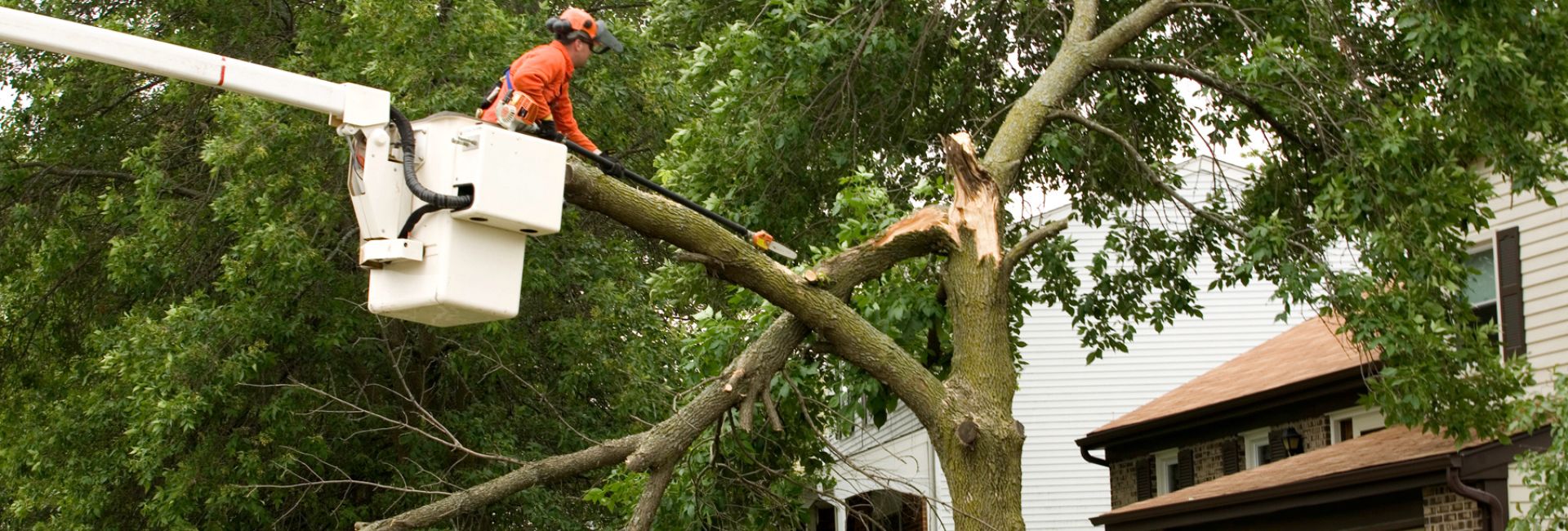 storm damage removal job in league city tx