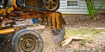 Stump Grinding And Removal