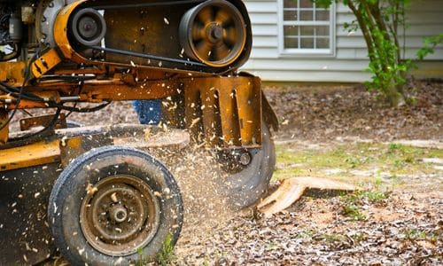 stump grinding in league city tx