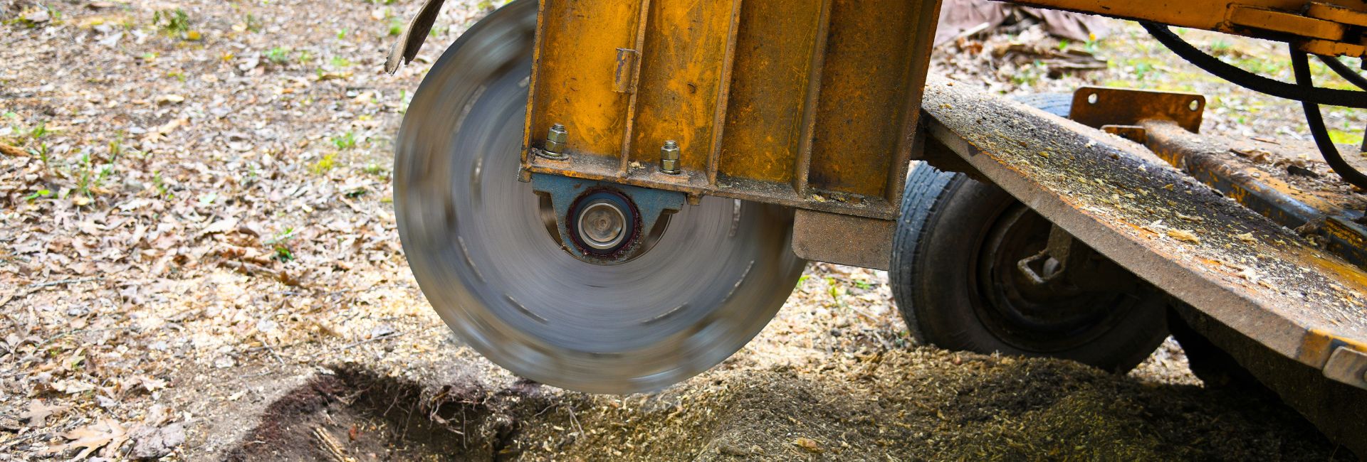 stump removal job in league city tx